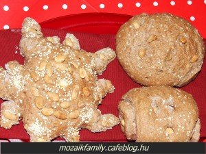 fözzagyerekkel_dioskenyér1