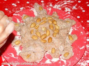 fözzagyerekkel_dioskenyér4