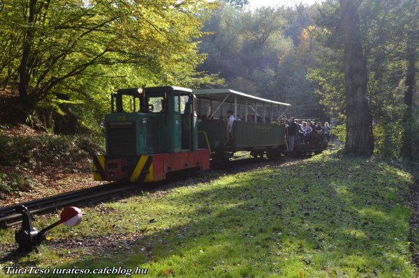 A kisvasutazást mindenki élvezi