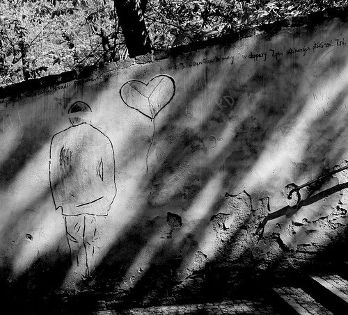 6972583730_aa4daf2193