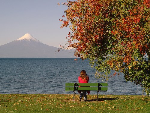 860709062_bf2f86e544